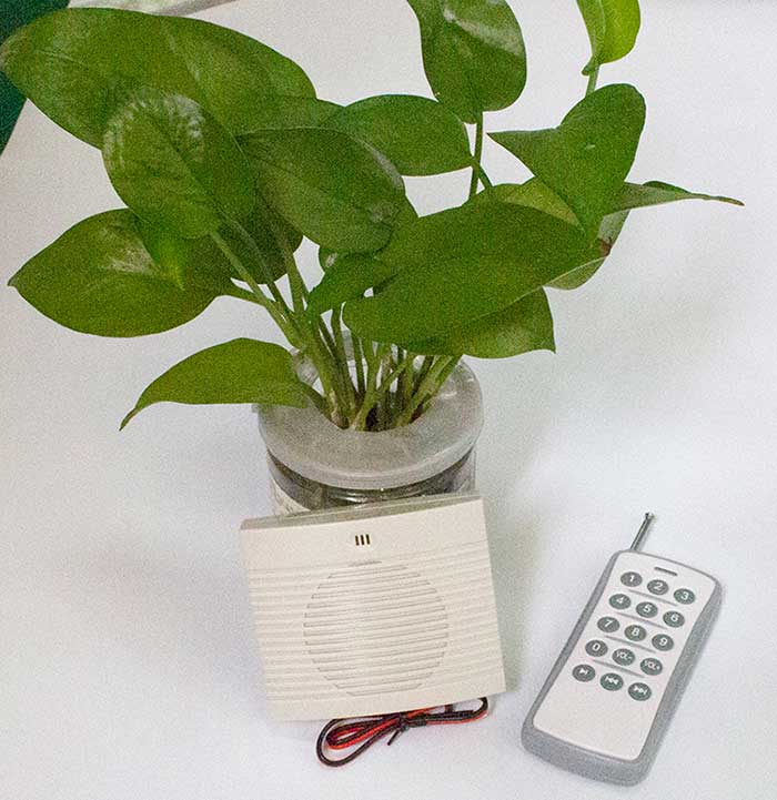 �������ع滮